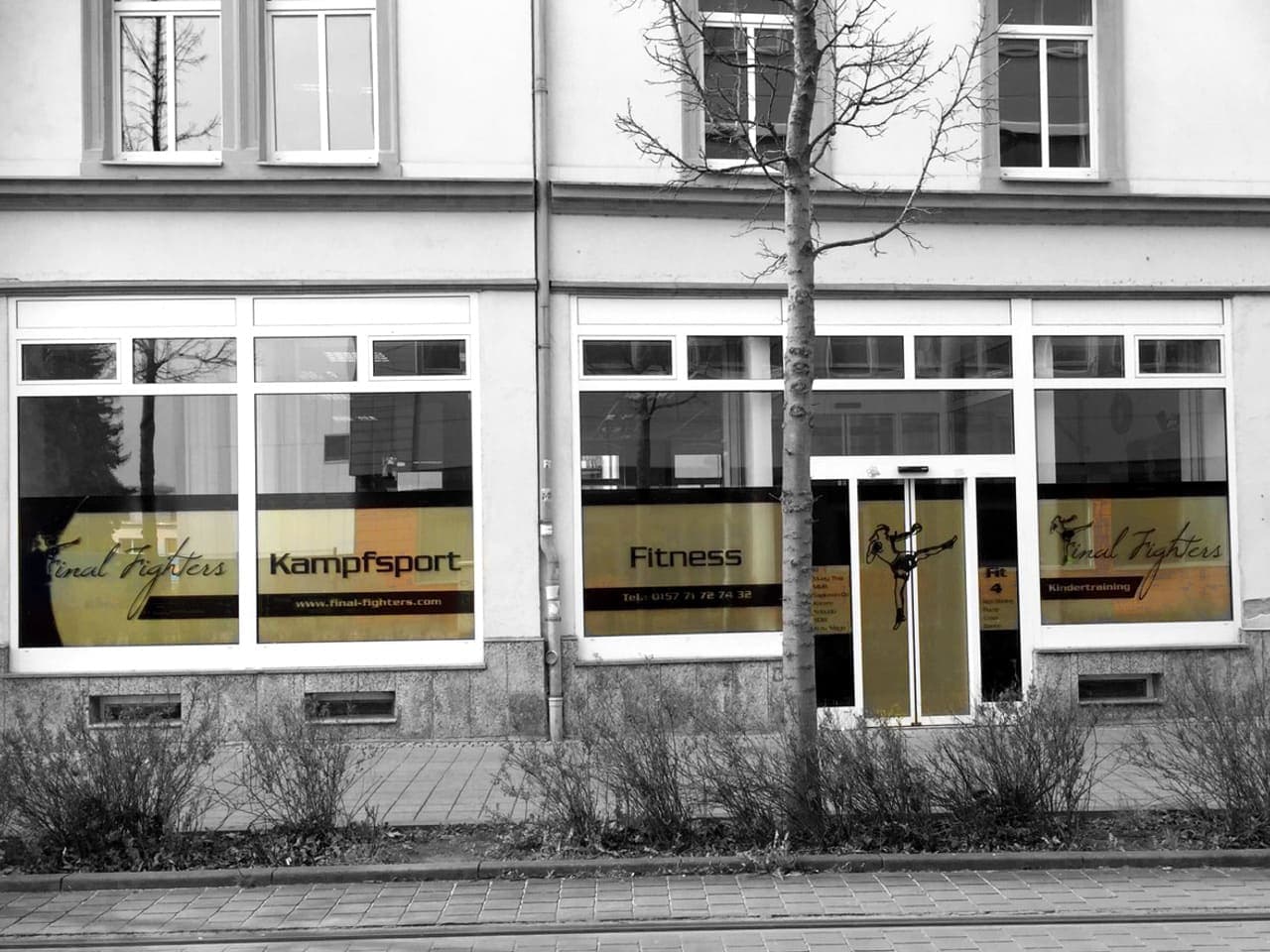 Martial Arts Background